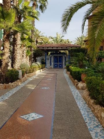 Martina Apartment Torrevieja Exterior photo