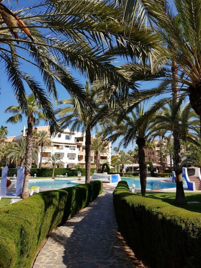 Martina Apartment Torrevieja Exterior photo