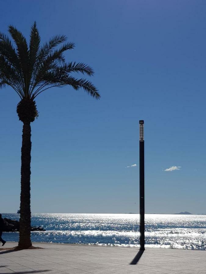 Martina Apartment Torrevieja Exterior photo